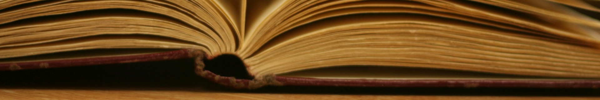 FaithBook